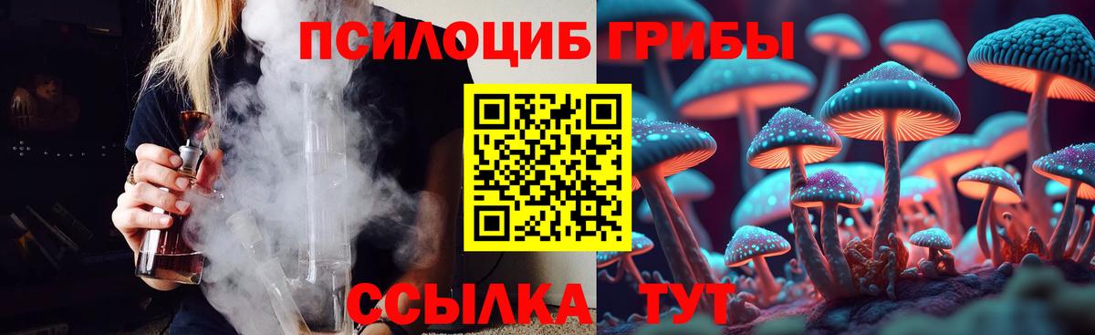 Псилоцибиновые грибы MAGIC MUSHROOMS  Вход с VPN  наркота  Костомукша 